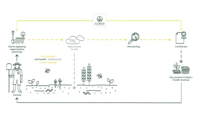 Diagram shows a farmer starting regenerative practices, leading to CO2 stored in soil. Monitoring, certification, and carbon credit revenue follow, illustrating farming carbon credits.