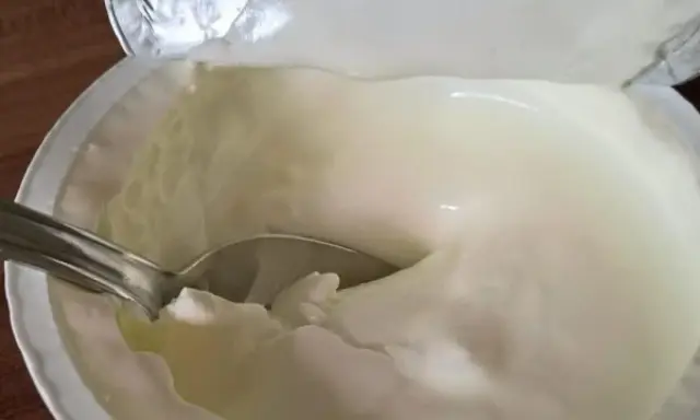 Cremiger Joghurt mit Löffel. Der Unterschied zwischen griechischem Joghurt und Joghurt griechischer Art ist die Textur.