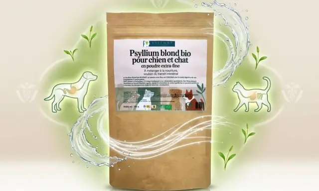 Sachet de psyllium blond bio pour chien et chat, idéal pour le transit intestinal. Aide à réguler la digestion.