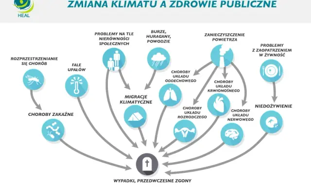 Walka o klimat: Co musisz wiedzieć o gazach cieplarnianych?