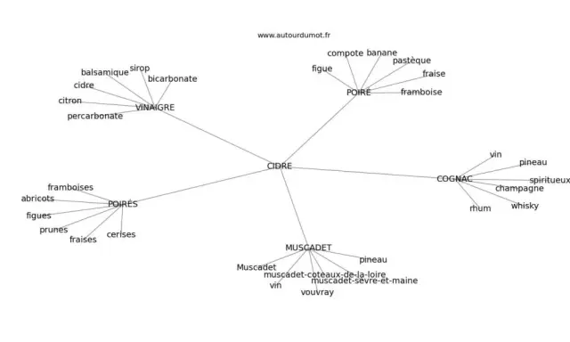 Carte mentale des synonymes et associations du mot CIDRE : poire, vinaigre, fruits, cognac, muscadet.