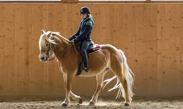 Reiterin mit Helm und Pferd in Reithalle. Beachten Sie die Bahnregeln beim Reiten für Sicherheit und Harmonie.
