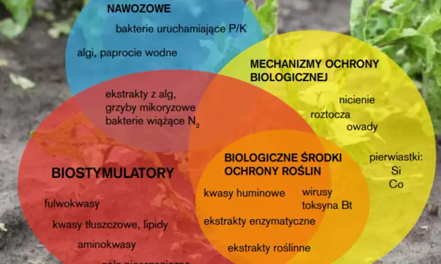 Wyjaśnij OZE: Od definicji po dotacje Twój przewodnik