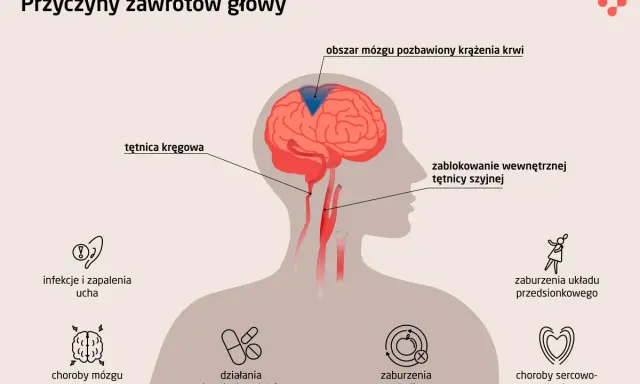 Zablokowanie tętnicy szyjnej lub kręgowej może prowadzić do niedotlenienia mózgu, powodując zawroty głowy. Inne przyczyny to choroby mózgu, ucha, zaburzenia metaboliczne, sercowo-naczyniowe, leki i układu przedsionkowego.