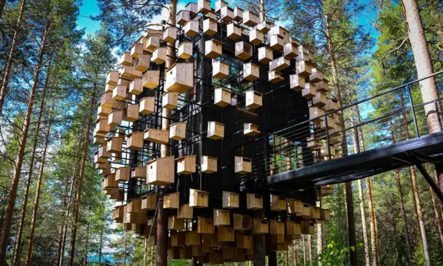 Treehotel Sweden: en sfärisk byggnad täckt av fågelholkar, omgiven av tallskog. En gångbro leder till den unika arkitekturen.