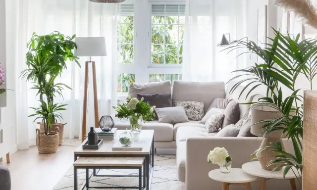 Salón acogedor con rincones decorar con plantas. Sofá beige, mesas de centro de madera y alfombra geométrica.