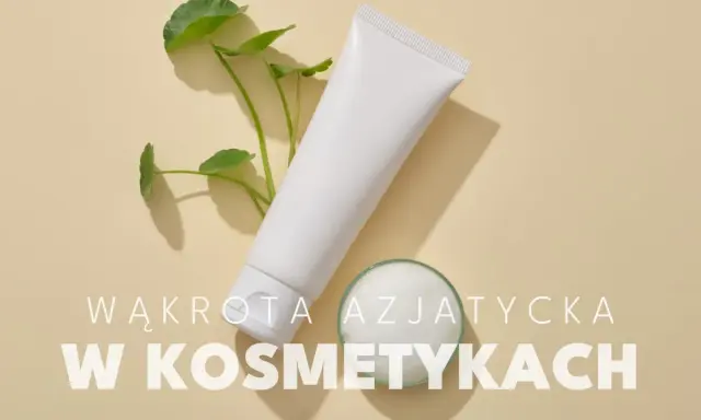 Biała tubka kosmetyku i gałązka z listkami, obok małe naczynie z pianą. Wąkrota azjatycka w kosmetykach.