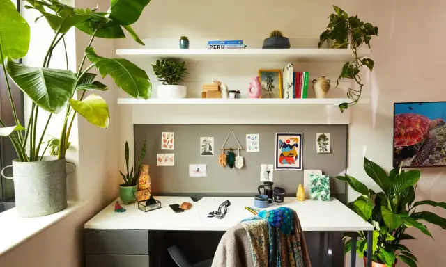Escritorio de una habitación de estudiante con plantas, libros y arte en la pared. Un espacio acogedor y organizado para el estudio.