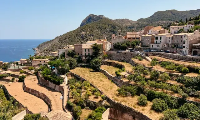 Terrassierte Hänge mit Bäumen und Trockenfeldern im **Tramuntana Gebirge** auf Mallorca. Im Hintergrund das Meer und ein Dorf.