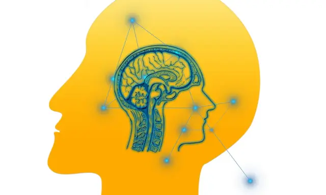 Cerebro humano con conexiones neuronales, representando el trastorno procesamiento auditivo.