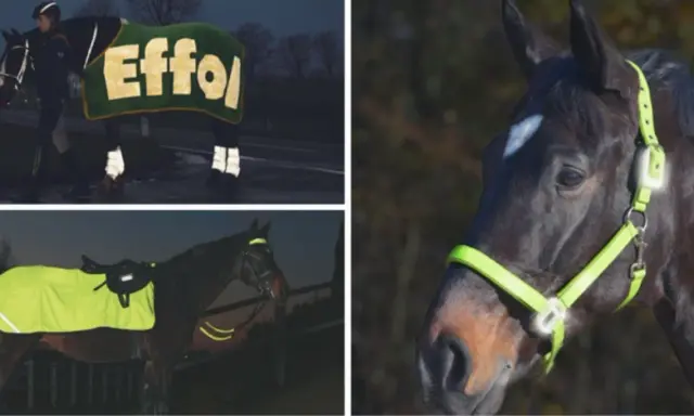 Sicher reiten im dunkeln mit reflektierender Ausrüstung. Pferde und Reiter sind gut sichtbar, auch bei Nacht.