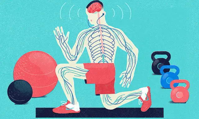 En person utför en utfall med synligt nervsystem, som en kroppsscanning. Träningsredskap som kettlebells och bollar finns i närheten.