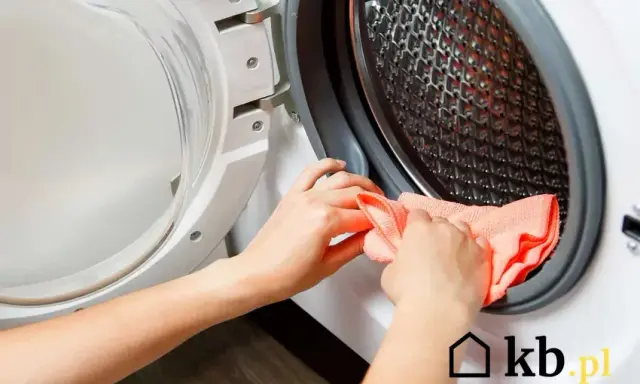 Jak wyczyścić pralkę? Domowe sposoby na zapachy i kamień