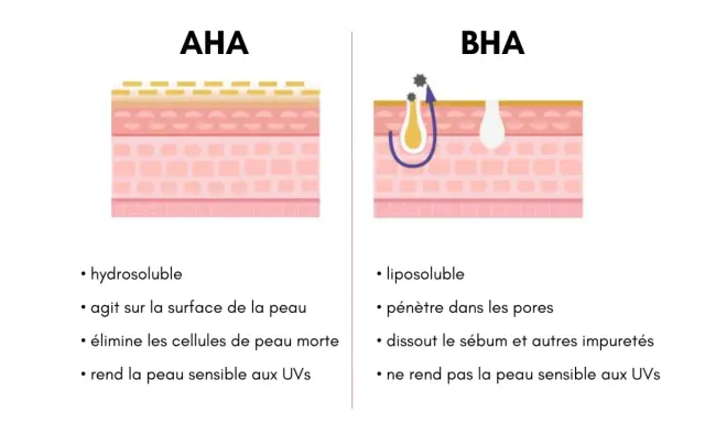 Comparaison AHA et BHA : l'un agit en surface, l'autre pénètre les pores pour dissoudre le sébum. Aha, le BHA est liposoluble !