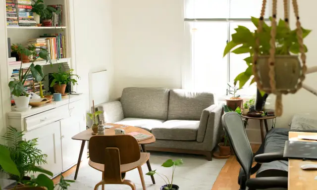 Ett mysigt och inspirerande hem med en soffa, bokhylla fylld med böcker och växter, samt en hängande växt.