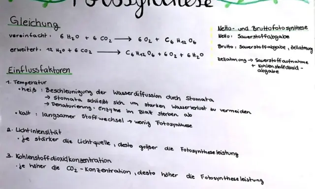 Die Fotosynthese-Gleichung wird erklärt, mit Einflussfaktoren wie Temperatur, Lichtintensität und CO2-Konzentration.
