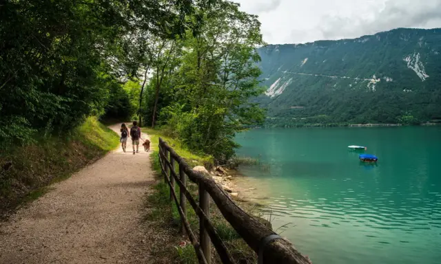 Passeggiata con il cane lungo il sentiero del lago di Santa Croce, con montagne verdi sullo sfondo e acque turchesi.