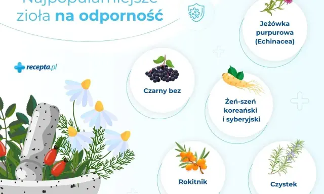 Najpopularniejsze zioła na odporność: jeżówka, czarny bez, żeń-szeń, rokitnik, czystek. Dowiedz się, jakie zioła na odporność wybrać.