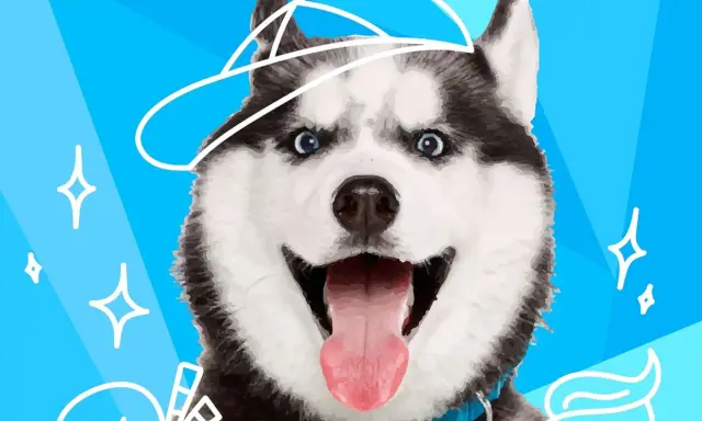 Wesoły husky w czapce, z wywieszonym językiem. Czy to rasa psa do mnie pasuje?