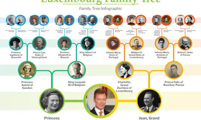 Henri, Grand Duke of Luxembourg, är en del av en släktträd-infografik som visar hans förfäder.