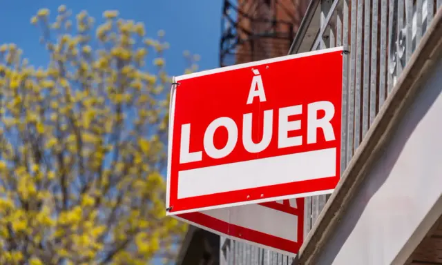 Panneau "À louer" rouge vif, un signe d'espoir pour comment trouver un logement rapidement. Arbre fleuri en arrière-plan.