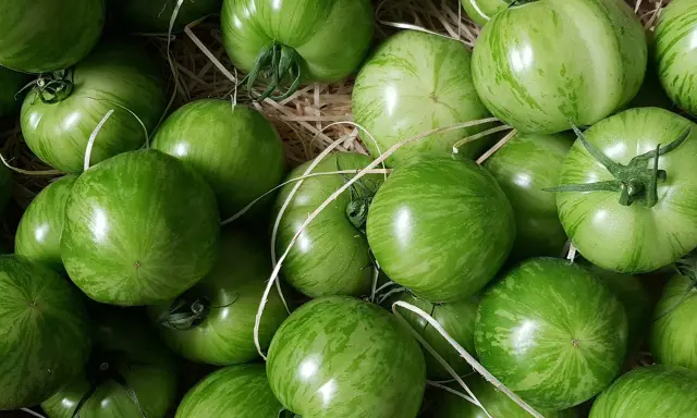 Un panier rempli de tomates green zebra, leurs rayures vertes vibrantes promettent une saveur unique.