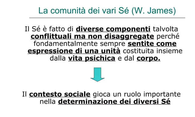 Il Sé è composto da diverse parti, a volte in conflitto, ma che formano un'unità. La diffusione di identità è influenzata dal contesto sociale.