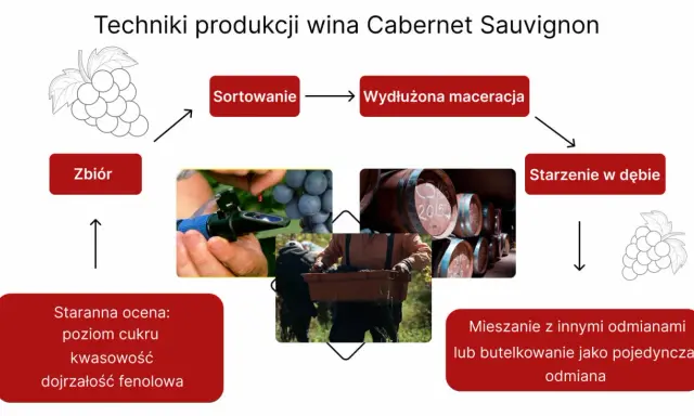 Cabernet Sauvignon: Król win? Poznaj smak, sekrety i pairing!