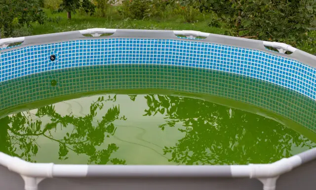 Una piscina inflable con agua verde y reflejos de árboles.