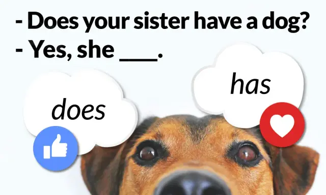 Piesek uczy angielskiego: "Does your sister have a dog?" - "Yes, she has.