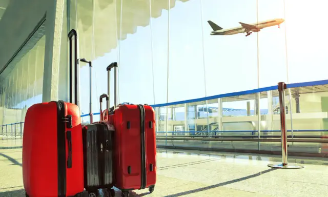 Walizki czekają na lotnisku, ale czy na pewno wszystkie dotrą do celu? Lufthansa zagubiony bagaż to stresująca sytuacja dla każdego podróżnego.