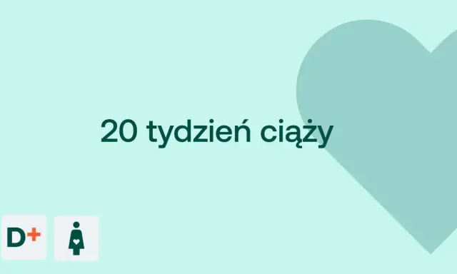 20 tydzień ciąży. Serce i ikony D+ oraz kobiety w ciąży na jasnym tle.
