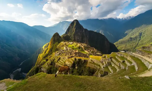 Un lama pasta en la cima de una montaña, contemplando la majestuosidad de que es Machu Picchu, una ciudadela inca entre picos andinos.