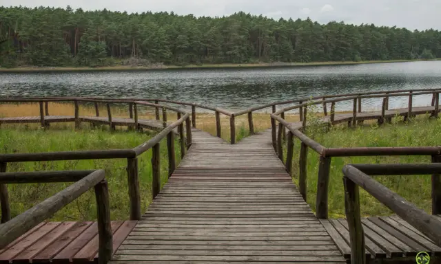 Drewniana kładka prowadzi do jeziora otoczonego lasem. To idealne miejsce, by poczuć magię Borów Tucholskich.