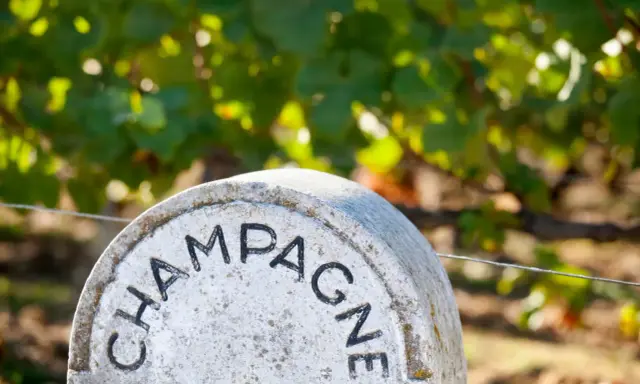 Ein Stein markiert das Gebiet, woher Champagner kommt. Weinreben im Hintergrund.