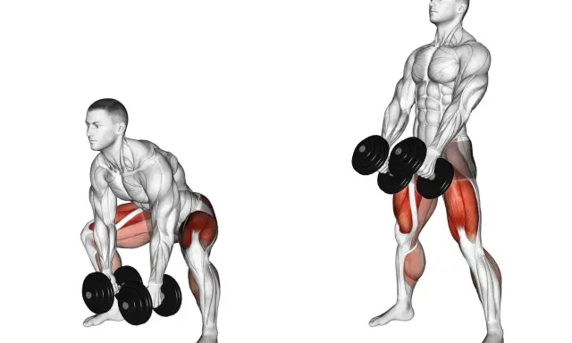 Homme faisant un soulevé de terre roumain avec haltères, ciblant le muscler interieur cuisse.