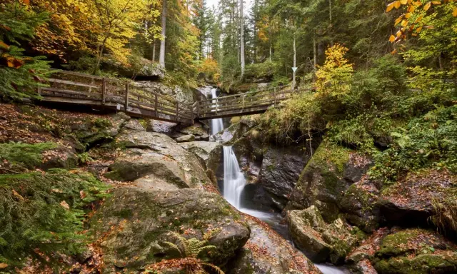 Herbstliche Szenerie mit Wasserfall und Holzbrücken im Bayerischen Wald. Perfekt für Ausflugsziele.