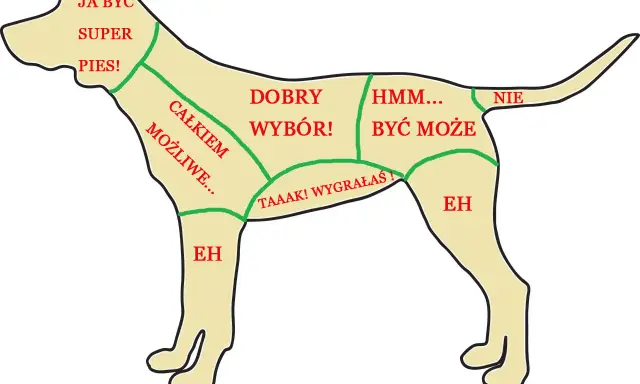 Mapa pokazuje, gdzie głaskać psa: "Super pies!" na głowie, "Dobry wybór!" na bokach, "Całkiem możliwe..." na łapach.