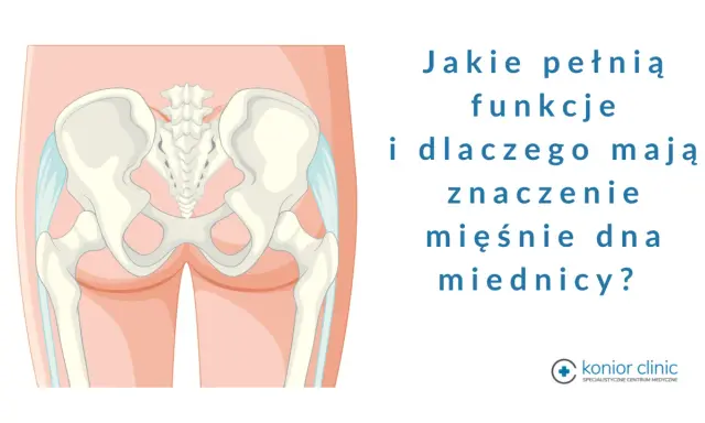Anatomia miednicy, ilustracja przedstawiająca kości miedniczne i kręgosłup krzyżowy, z tekstem pytającym o funkcje mięśni dna miednicy.