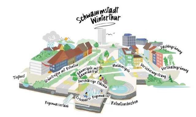 Winterthur als Schwammstadt: Gründächer, Baumrigolen, Mulden und Retentionsbecken speichern Regenwasser.