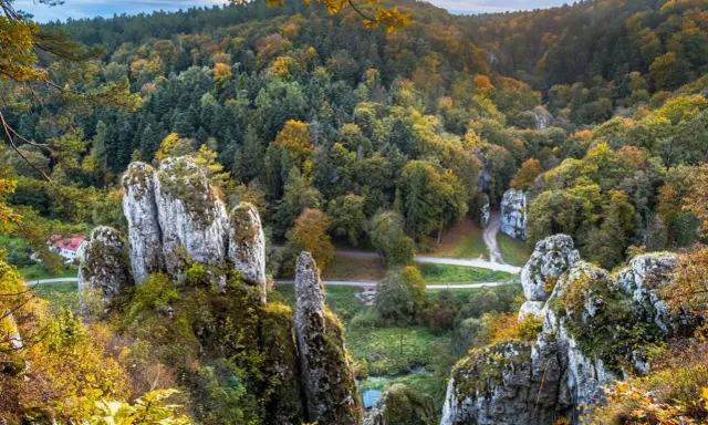 Jesienne barwy w Ojcowskim Parku Narodowym. Wapienne skały porośnięte mchem i jesienną roślinnością, otoczone lasem w odcieniach złota i zieleni.