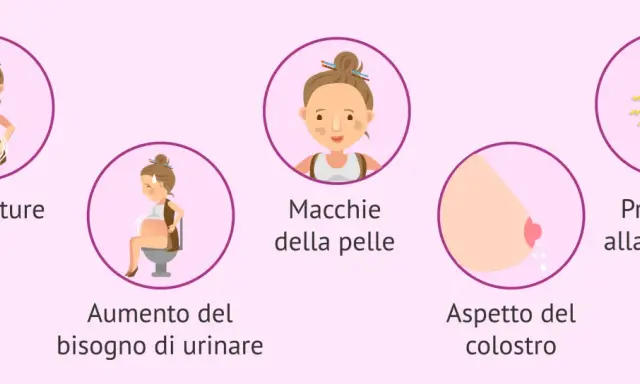 Il sesto mese di gravidanza porta smagliature, macchie sulla pelle, aumento del bisogno di urinare, colostro e problemi alla schiena.