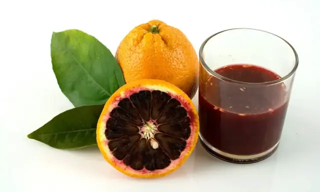 Blutorange: ein gesunder Genuss für gesund abnehmen. Saft und Frucht mit Blättern auf weißem Grund.