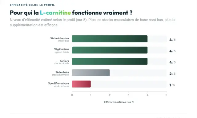 Graphique montrant l'effet de la L-carnitine : plus les stocks sont bas, plus l'efficacité est grande. Idéal pour sèche intensive, végétariens et seniors.