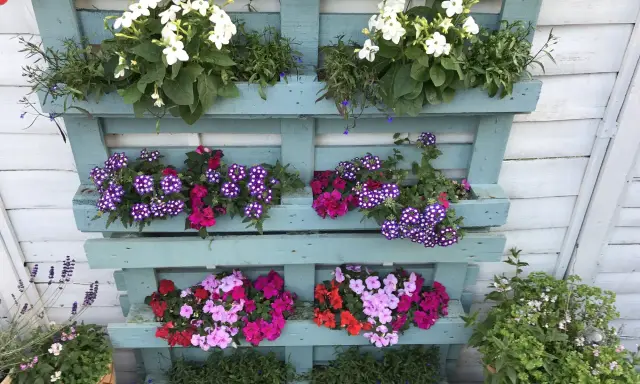 Jardinière en palette bleue peinte, remplie de fleurs blanches, violettes, roses et rouges. Guirlande lumineuse colorée au-dessus.