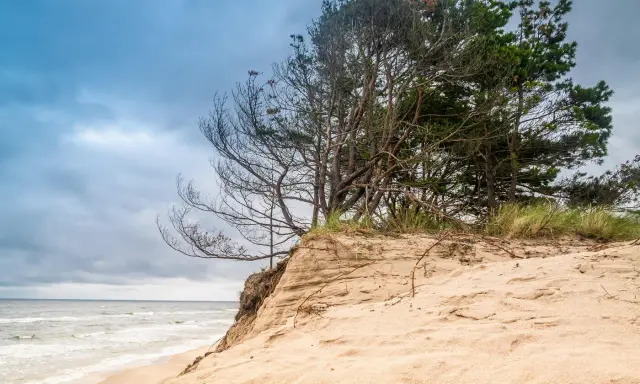 Piaszczysta wydma z sosnami, morze i chmury. To może być najpiękniejsza plaża w Polsce.