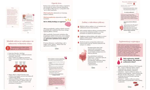 Jak podnieść poziom żelaza? Zadbaj o mikrobiom jelitowy, ogranicz stres i wyklucz przyczyny zaburzeń wchłaniania.