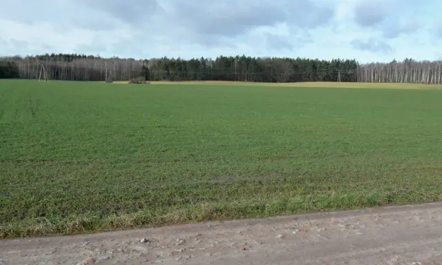 Co wybudować na działce rolnej? Poradnik dla każdego inwestora