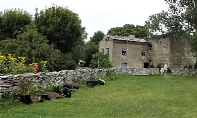 En gammal byggnad med stenväggar och ett tak av skiffer. En person i rött går förbi gula blommor vid en stenmur. Kanske en framtida vingård på Gotland?