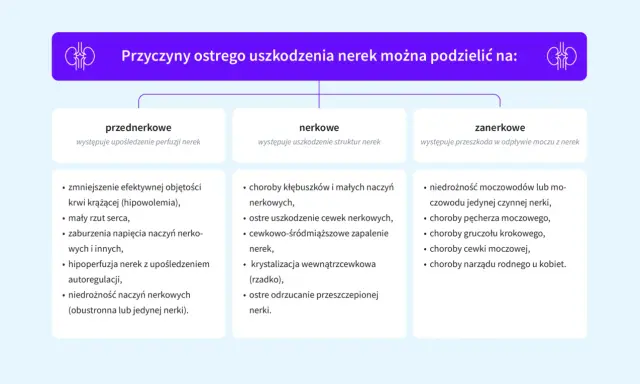 Przyczyny ostrego uszkodzenia nerek: przednerkowe (np. hipowolemia), nerkowe (np. zapalenie nerek) i zanerkowe (np. niedrożność moczowodów). Leczenie zależy od przyczyny.